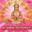 Jai Shree Hanuman Divine Chants Of Hanuman