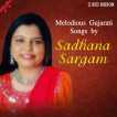 Melodious Gujarati Songs By Sadhana Sargam