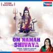 Om Namah Shivaya Single