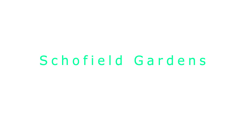 Schofield Gardens in Schofields 