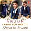 I Know You Want It Sheila Ki Jawani Single