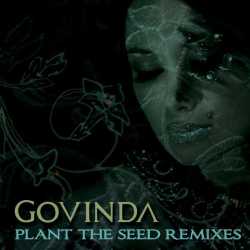 Plant The Seed Remixes by Govinda