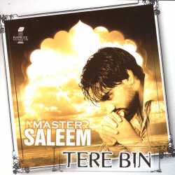 Tere Bin by Master Saleem