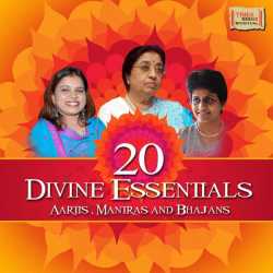 20 Divine Essentials Aartis Mantras And Bhajans by Sadhana Sargam