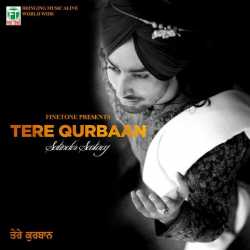 Tere Qurbaan by Satinder Sartaaj