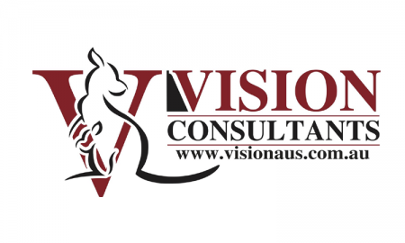 Vision Consultants